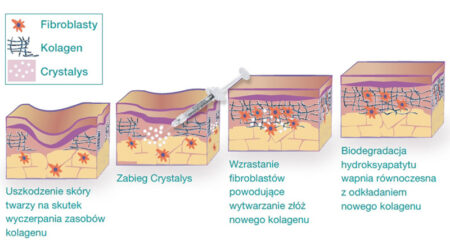 Crystalys- zasada dzialania poznan biogenica